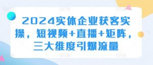 2024实体企业获客实操,短视频+直播+矩阵,三大维度引爆流量-则成副业项目资源站