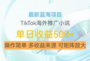 最新蓝海项目,利用tiktok海外推广小说赚钱佣金,简单易学,日入500+,可矩阵放大【揭秘】-则成副业项目资源站