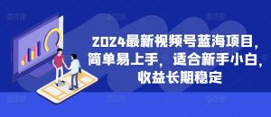 2024最新视频号蓝海项目,简单易上手,适合新手小白,收益长期稳定-则成副业项目资源站