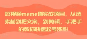 短视频meme猫实战项目，从选素材到把文案，到剪辑，手把手的教你快速起号涨粉-则成副业项目资源站