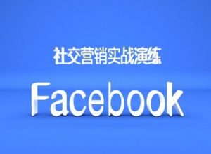 Facebook社交营销实战演练,外贸人绝对不能错过的营销推广平台-则成副业项目资源站
