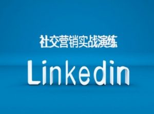 社交营销实战演练之Linkedin营销课程,B2B跨境外贸的新出路-则成副业项目资源站