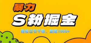 单人单机日引千粉,变现1k+,S粉流量掘金计划攻略【揭秘】-则成副业项目资源站