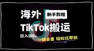 2024最新海外TikTok搬运玩法,一键去重轻松过原创,新手无经验也能日入1k【揭秘】-则成副业项目资源站