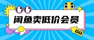 外面收费998的闲鱼低价充值会员搬砖玩法号称日入200+-则成副业项目资源站