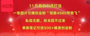 小红书11月最新图片打粉，一张图片引爆创业粉，“预算4980带我飞”，单条引流500+精准创业粉-则成副业项目资源站