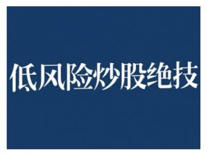2024低风险股票实操营，低风险，高回报-则成副业项目资源站