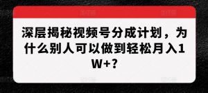 深层揭秘视频号分成计划，为什么别人可以做到轻松月入1W+?-则成副业项目资源站