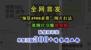 小红书“预算4980带我飞”图片打法,一张图片引爆创业粉,私信回不完,单条引流300+精准创业粉-则成副业项目资源站