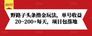 野路子头条撸金玩法,单号收益20~200+每天,项目包落地-则成副业项目资源站