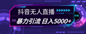 抖音快手视频号全平台通用无人直播引流法,利用图片模板和语音话术,暴力日引流100+创业粉【揭秘】-则成副业项目资源站