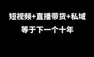 短视频+直播带货+私域等于下一个十年，大佬7年实战经验总结-则成副业项目资源站