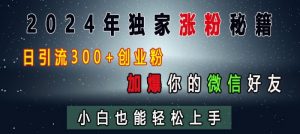 2024年独家涨粉秘籍，日引流300+创业粉，加爆你的微信好友，小白也能轻松上手-则成副业项目资源站