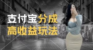 支付宝分成计划新玩法,利用交通事故视频,赚收益,轻松月入过W,操作简单【揭秘】-则成副业项目资源站