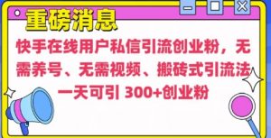 快手最新引流创业粉方法，无需养号、无需视频、搬砖式引流法【揭秘】-则成副业项目资源站