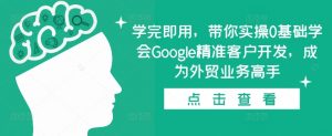 学完即用,带你实操0基础学会Google精准客户开发,成为外贸业务高手-则成副业项目资源站