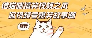 借猫咪搞笑视频之风,掀视频号爆笑故事潮,轻松日入四位数,无门槛快速入门!-则成副业项目资源站