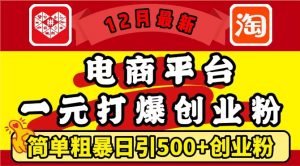 12月最新:电商平台1元打爆创业粉,简单粗暴日引500+精准创业粉,轻松月入过W【揭秘】-则成副业项目资源站