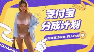 利用海外靶场射击视频，挣支付宝分成收益，轻松月入过W【揭秘】-则成副业项目资源站