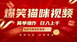 爆笑猫咪视频:简单操作,日入过K,视频号搞钱新策略【揭秘】-则成副业项目资源站