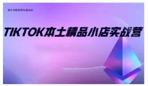 TikTok本土精品小店出海实战营,从入门到高阶,不止0-1!-则成副业项目资源站