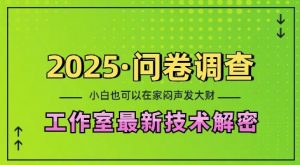 2025问卷调查最新工作室技术解密：一个人在家也可以闷声发大财，小白一天2张，可矩阵放大【揭秘】-则成副业项目资源站