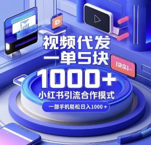 视频代发，一单5块，小红书引流合作模式，一部手机轻松日入多张【揭秘】-则成副业项目资源站