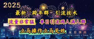 最新“跨年群”引流，流量非常猛，单日引流两人满人群，立马操作立马见效【揭秘】-则成副业项目资源站