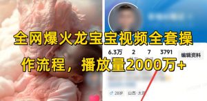 全网爆火龙宝宝视频全套操作流程，播放量2000万+-则成副业项目资源站