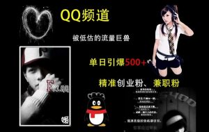 QQ频道：被低估的流量巨兽，单日引爆500+精准创业粉、兼职粉的引流秘籍-则成副业项目资源站