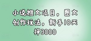 小说推文项目，图文创作玩法，新手10天挣3000-则成副业项目资源站