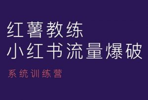 红薯教练-小红书内容运营课，小红书运营学习终点站-则成副业项目资源站