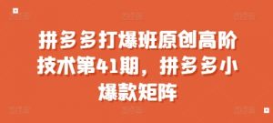 拼多多打爆班原创高阶技术第41期，拼多多小爆款矩阵-则成副业项目资源站