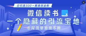 微信读书,一个隐藏的引流宝地,不为人知的小众打法,日引流300+精准创业粉,长尾流量源源不断-则成副业项目资源站