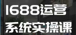 1688高阶运营系统实操课,快速掌握1688店铺运营的核心玩法-则成副业项目资源站