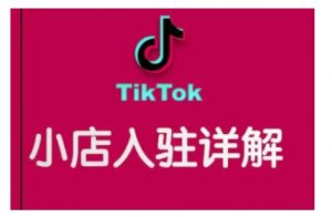 TikTok跨境小店运营全攻略,帮助你独立运营TK跨境小店的能力,实现销量增长-则成副业项目资源站