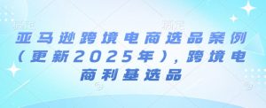 亚马逊跨境电商选品案例(更新2025年),跨境电商利基选品-则成副业项目资源站
