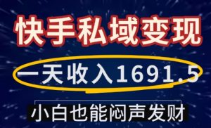 一天收入1691.5,快手私域变现,小白也能闷声发财-则成副业项目资源站