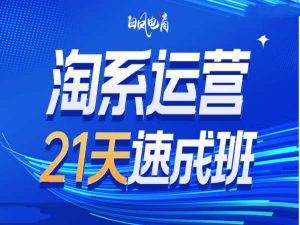 淘系运营21天速成班35期，年前最后一波和2025方向-则成副业项目资源站