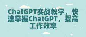 ChatGPT实战教学，快速掌握ChatGPT，提高工作效率-则成副业项目资源站