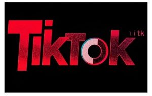 TikTok ads投流秘籍,涵盖tiktok整体投放思路,教你搭建测试计划-则成副业项目资源站