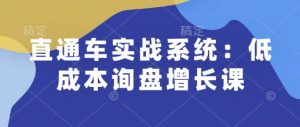 直通车实战系统:低成本询盘增长课,让个人通过技能实现升职加薪,让企业低成本获客,订单源源不断-则成副业项目资源站