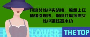 顶流女性IP实战班,流量上亿情绪引爆法,深度打磨顶流女性IP硬核基本功-则成副业项目资源站
