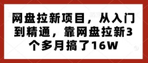 网盘拉新项目,从入门到精通,靠网盘拉新3个多月搞了16W-则成副业项目资源站