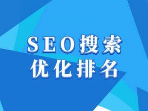 抖音搜索SEO教程，抖音SEO搜索优化排名-则成副业项目资源站