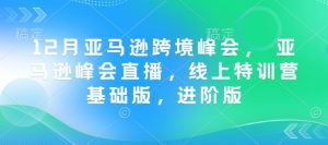 12月亚马逊跨境峰会, 亚马逊峰会直播,线上特训营基础版,进阶版-则成副业项目资源站