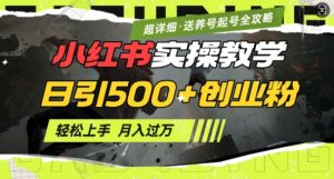 2月小红书最新日引500+创业粉实操教学【超详细】小白轻松上手,月入1W+,附小红书养号起号SOP-则成副业项目资源站