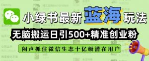 小绿书无脑搬运引流,全自动日引500精准创业粉,微信生态内又一个闷声发财的机会-则成副业项目资源站