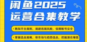 2025闲鱼电商运营全集，2025最新咸鱼玩法-则成副业项目资源站
