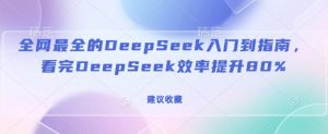 全网最全的DeepSeek入门到指南,看完DeepSeek效率提升80%(建议收藏)-则成副业项目资源站